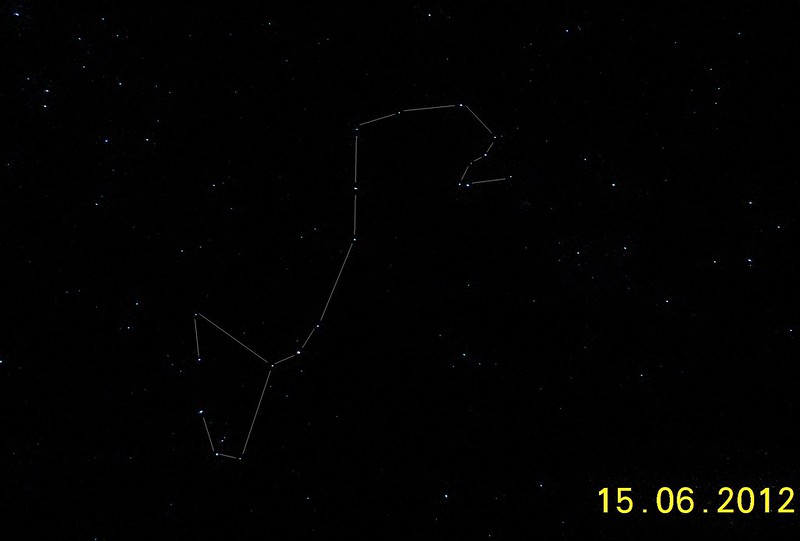 Scorpio Constellation in Southern Sky